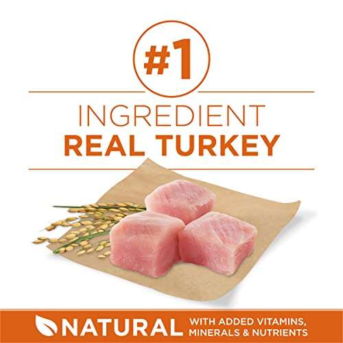 Best Healthy Weight Dog Food For Large Dogs