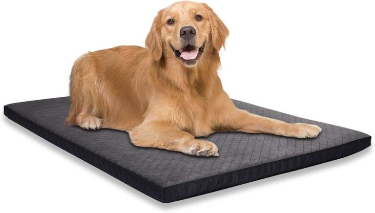 Is There A Chew Proof Dog Bed