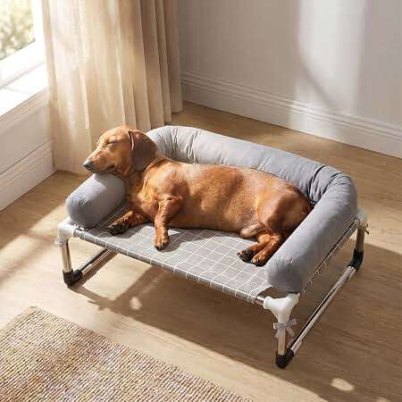 Are Elevated Dog Beds Good For Senior Dogs