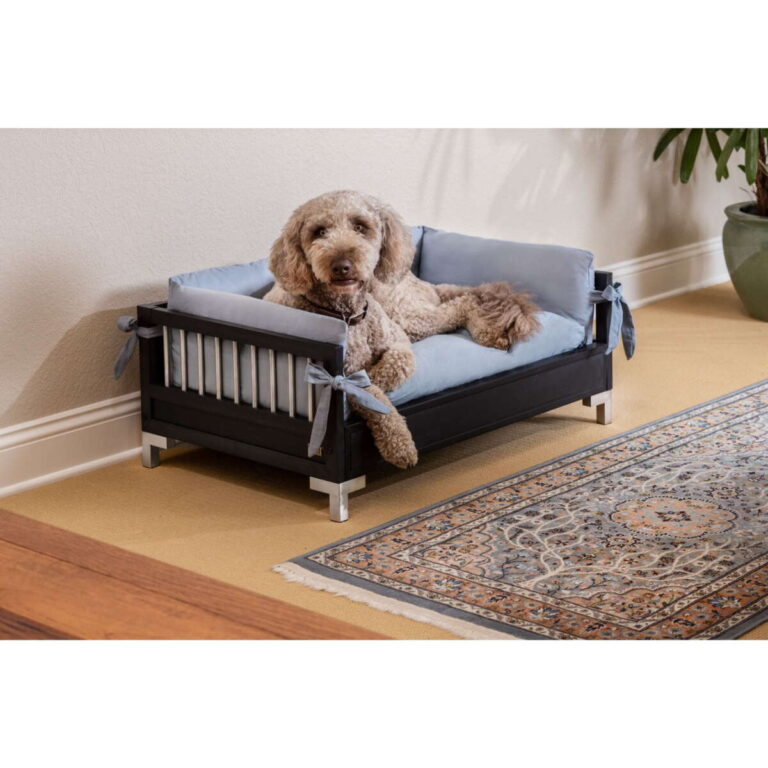Are Elevated Beds Better For Dogs