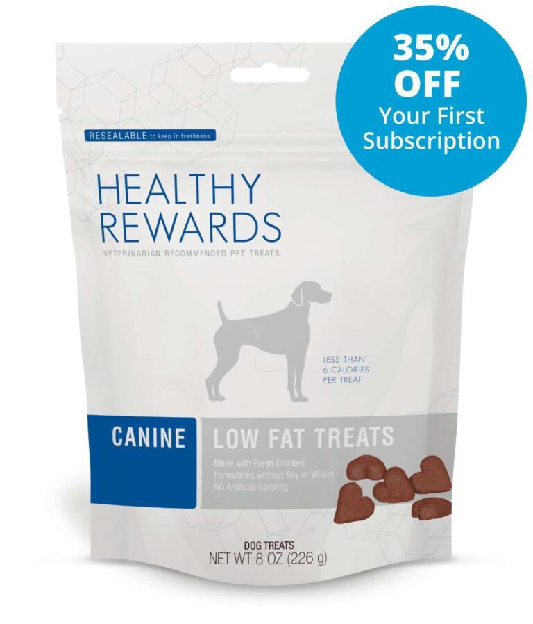 What Dog Food Is Considered The Healthiest