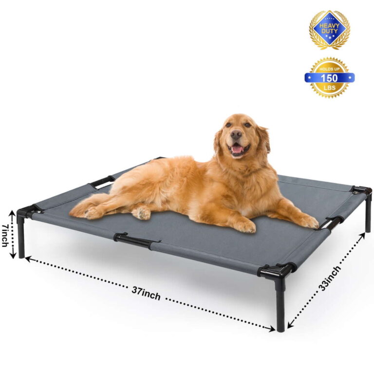 What Are The Toughest Dog Beds
