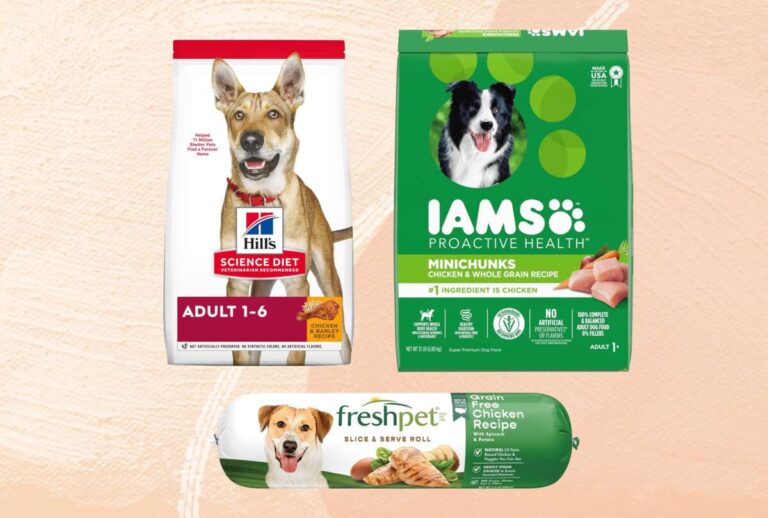 What Is A Good High Quality Dog Food