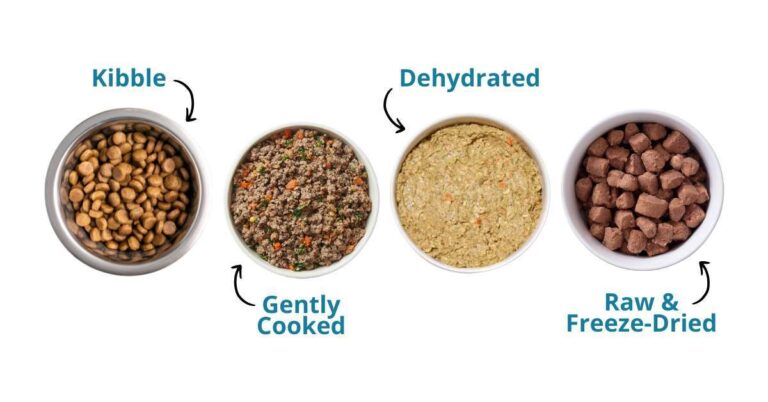 What Type Of Food Is Best For Dogs