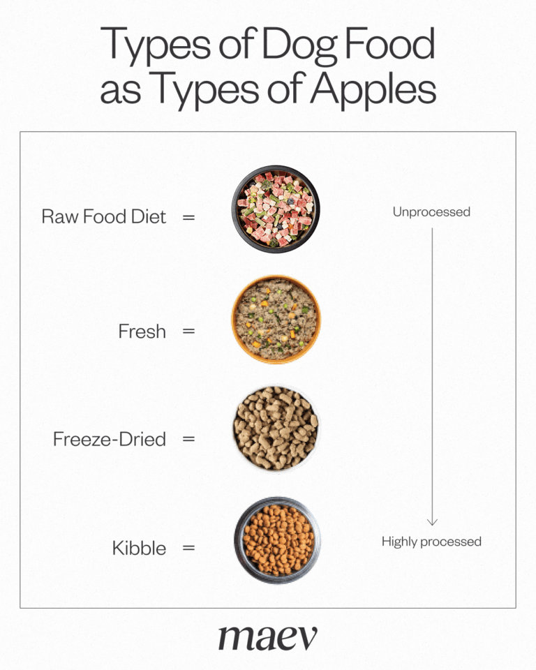 Which Food For Dogs Is The Best