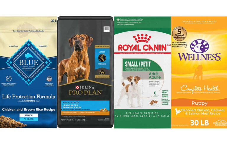 What Is The Cleanest Dog Food