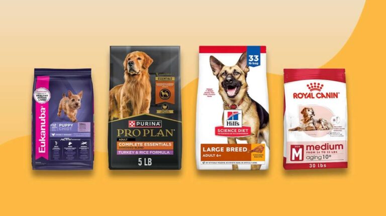 What Is The Best Dog Food For Medium Dogs
