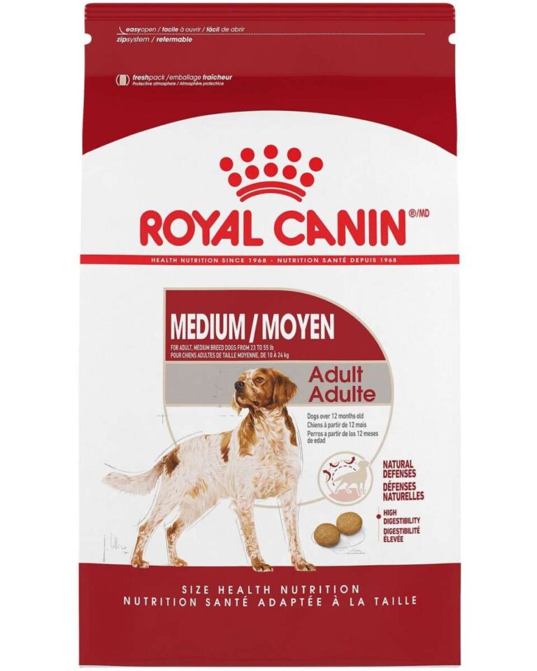 What Is The Best Most Nutritious Dog Food