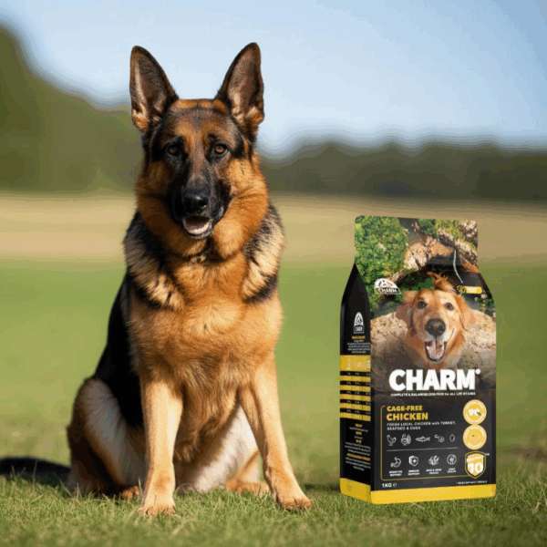 What Is The Best Dog Food For Nutrition