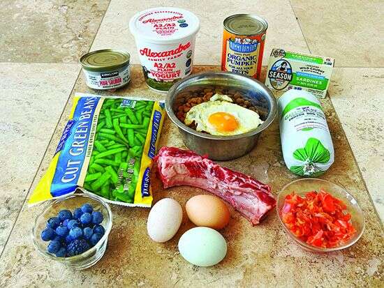What Dog Food Is Good For My Dog