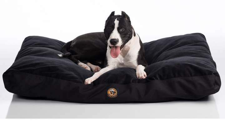 Is There An Indestructible Dog Bed