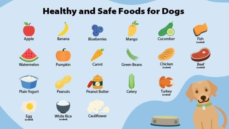 What Fresh Food Is Best For Dogs