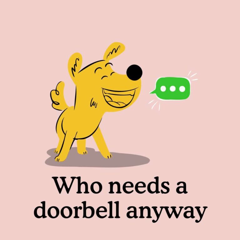 How To Stop Dog Barking At Visitors
