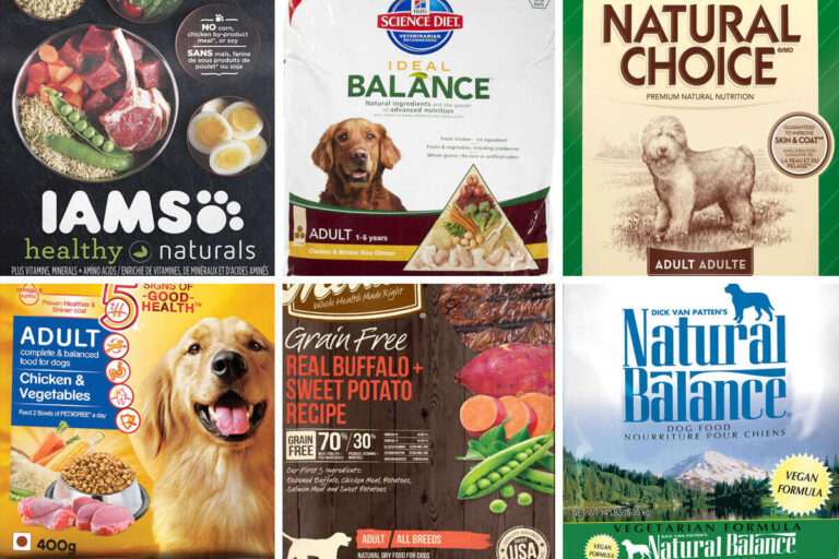 What Is In My Dog Food