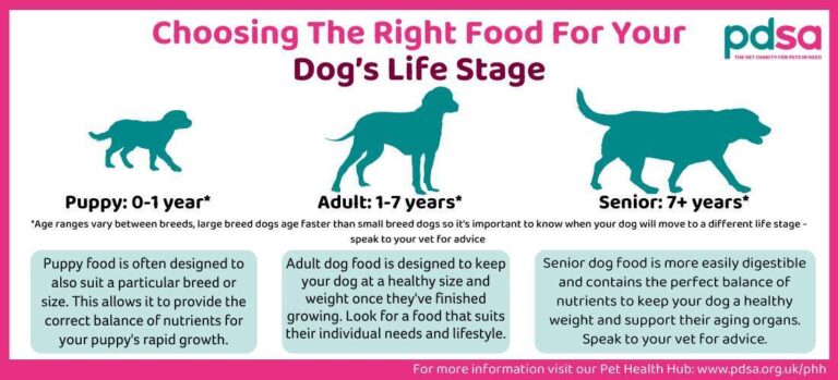 What To Look For In Healthy Dog Food