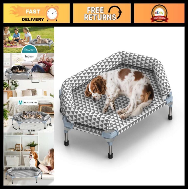 Are Elevated Dog Beds Good For Arthritis