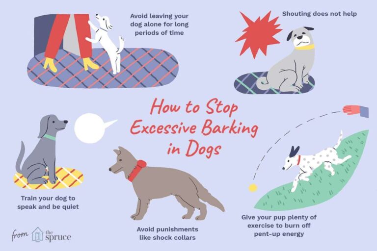 How Do I Keep My Dog From Barking At Night